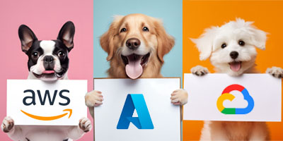 Optimizing Vendors-Dogs selling the big three CSPs